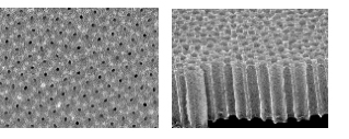 AAO(Anodic aluminium oxide)